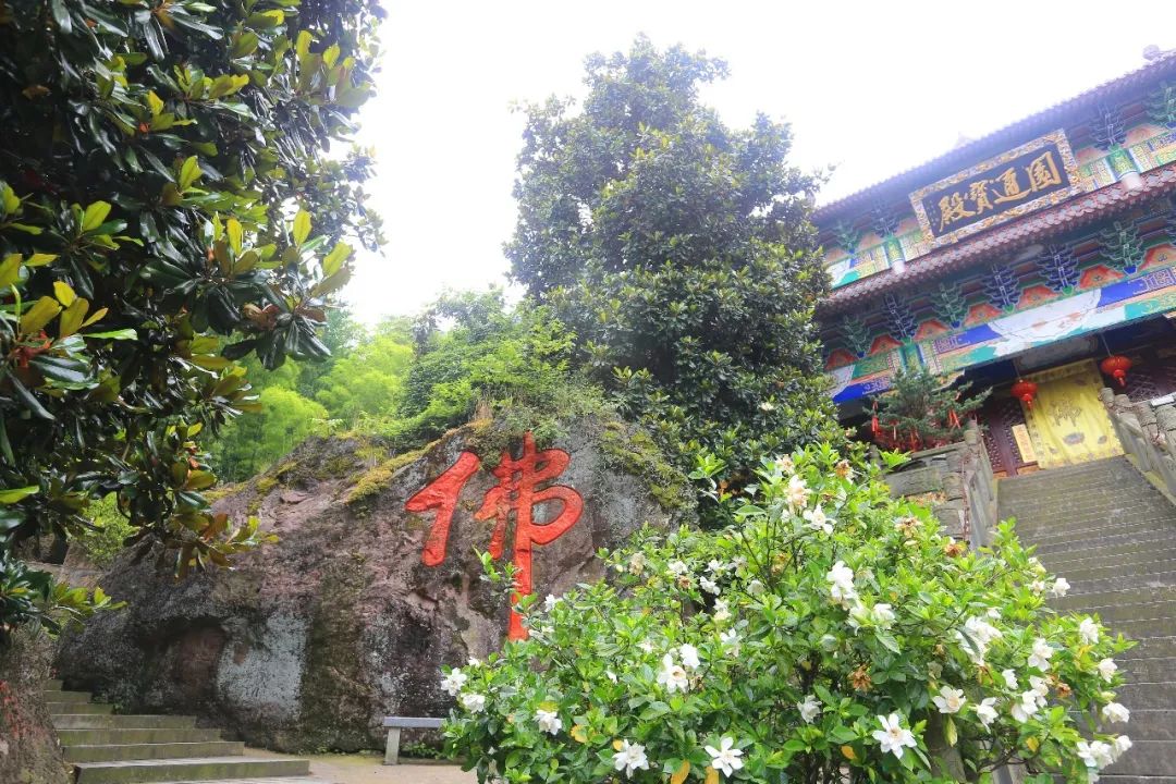 义乌市林山寺图片