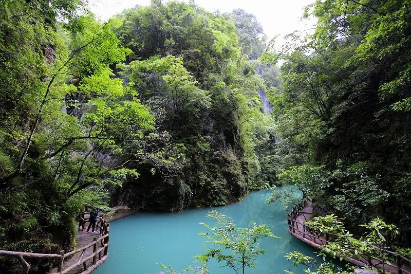 荆山山高水高,在海拔1600米的地方也有河流记者:传