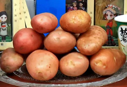 羌绣娃娃nine09 理县甜樱桃eight08 汶川县遛遛牛手撕牛肉红原牦牛