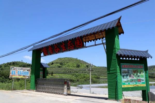 瓜果飘香游人醉 特色乡村旅游魅力彰显