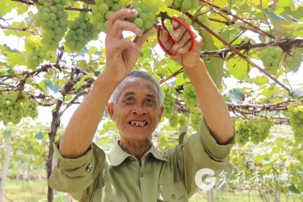 瓜果飘香游人醉 特色乡村旅游魅力彰显