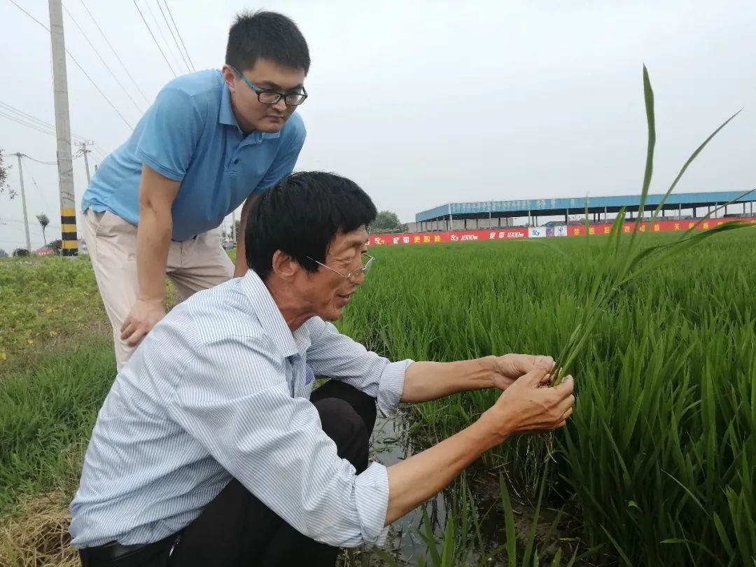 常人道是扬州市江都区七里村的种粮大户.