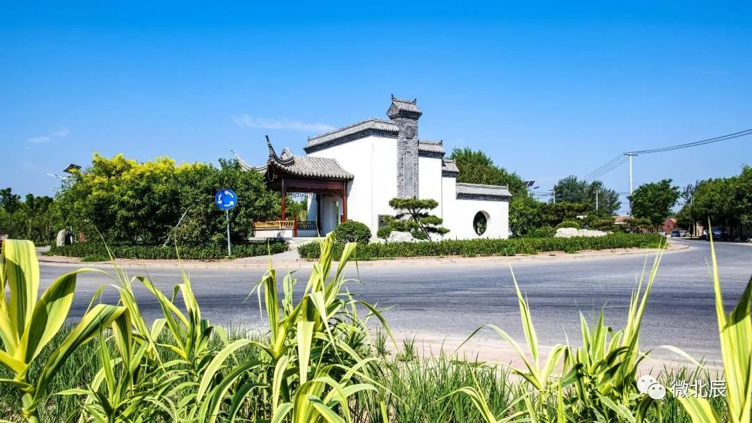 乡村振兴期待北辰区高标准打造样板示范村这8个村将迎来大变化