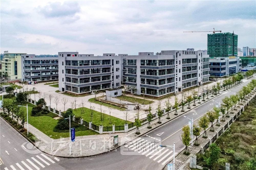 全会传递六个新信号涉及泸东新城做强世界级优质白酒产业集群等