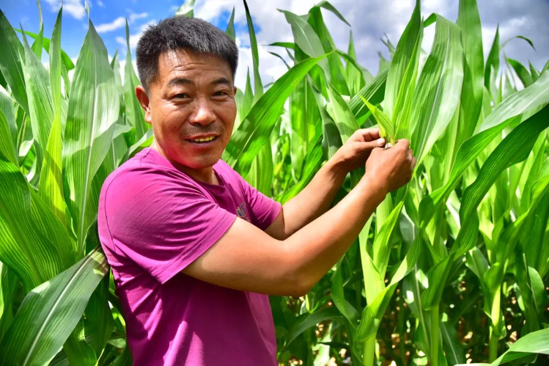 走向我们的小康生活新型职业农民过上了让人羡慕的好生活