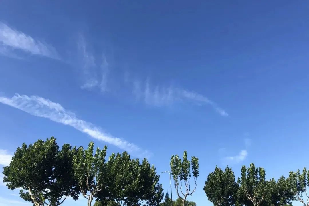 台风又有新消息了嘉兴天气将