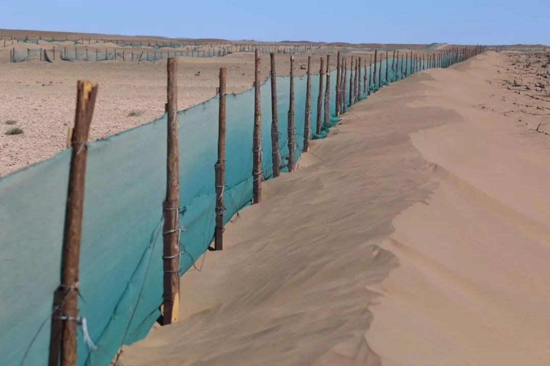他们采取"高,中,低"尼龙网格相配套的方式阻沙,修建层层防沙障阻挡