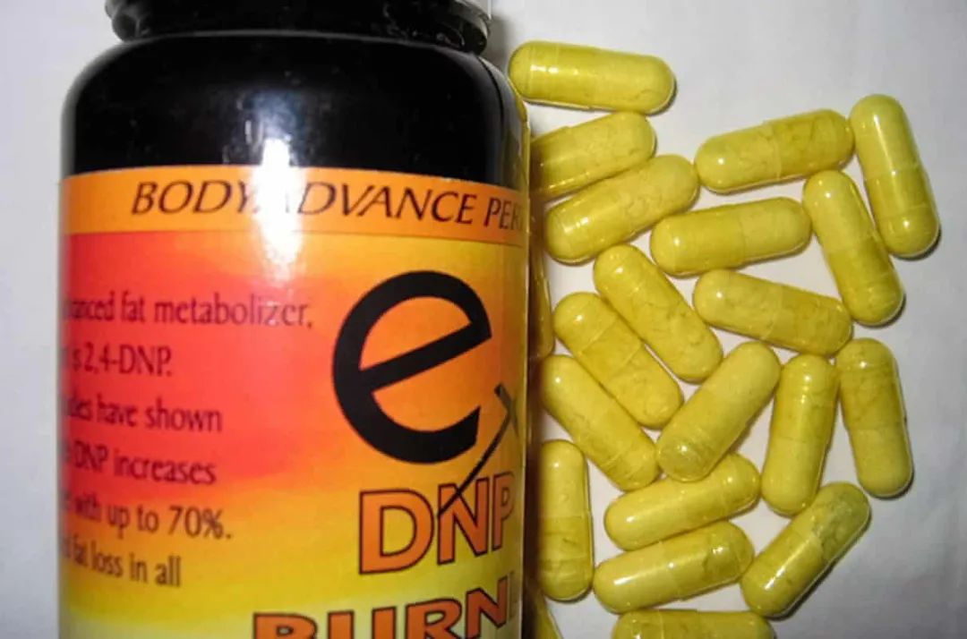能快速燃脂也能要你命这种被禁了80年的减肥毒药又走红了