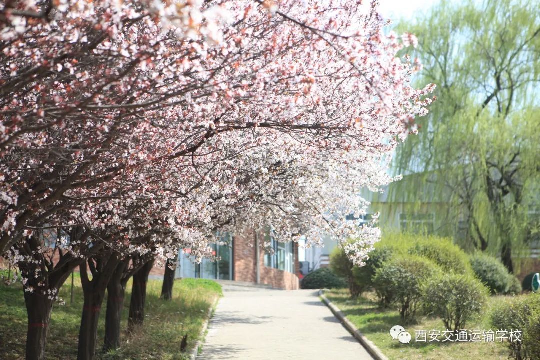 青海初高中学生注意了!这宜宾卫生学校所学校铁路直招,定岗定向委培!