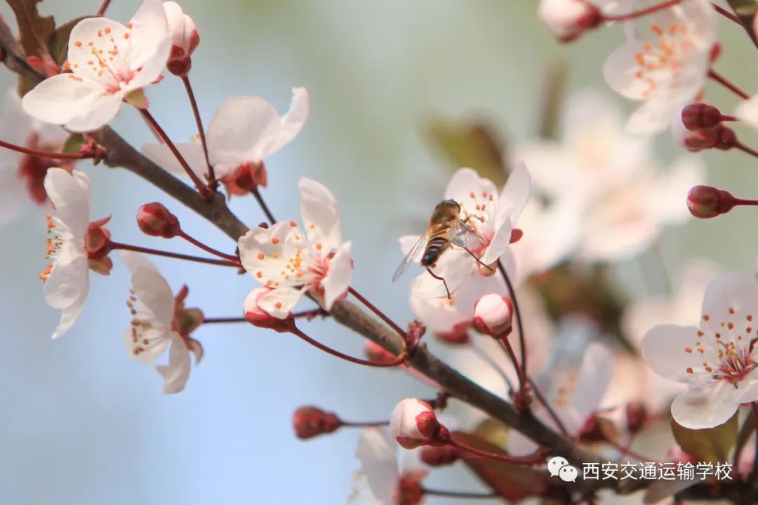 青海初高中学生注意了!这宜宾卫生学校所学校铁路直招,定岗定向委培!