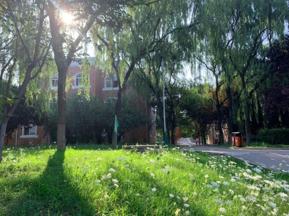 青海初高中学生注意了!这宜宾卫生学校所学校铁路直招,定岗定向委培!