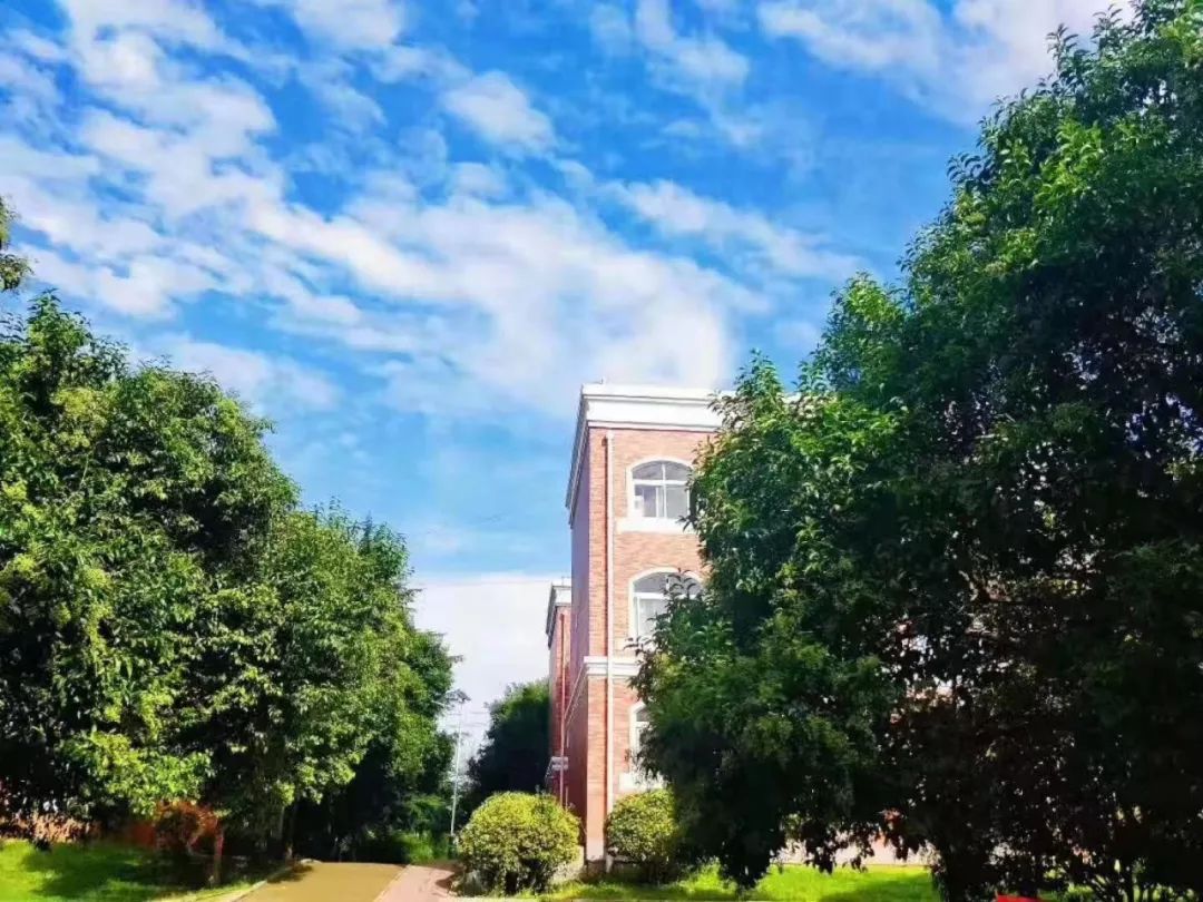 青海初高中学生注意了!这宜宾卫生学校所学校铁路直招,定岗定向委培!