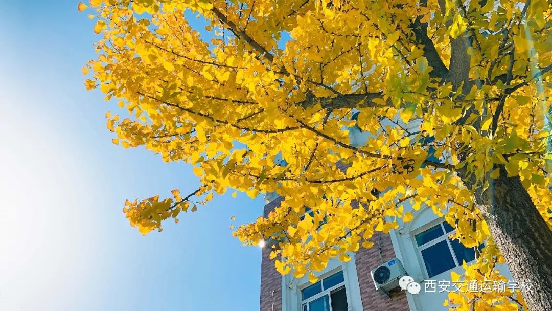 青海初高中学生注意了!这宜宾卫生学校所学校铁路直招,定岗定向委培!