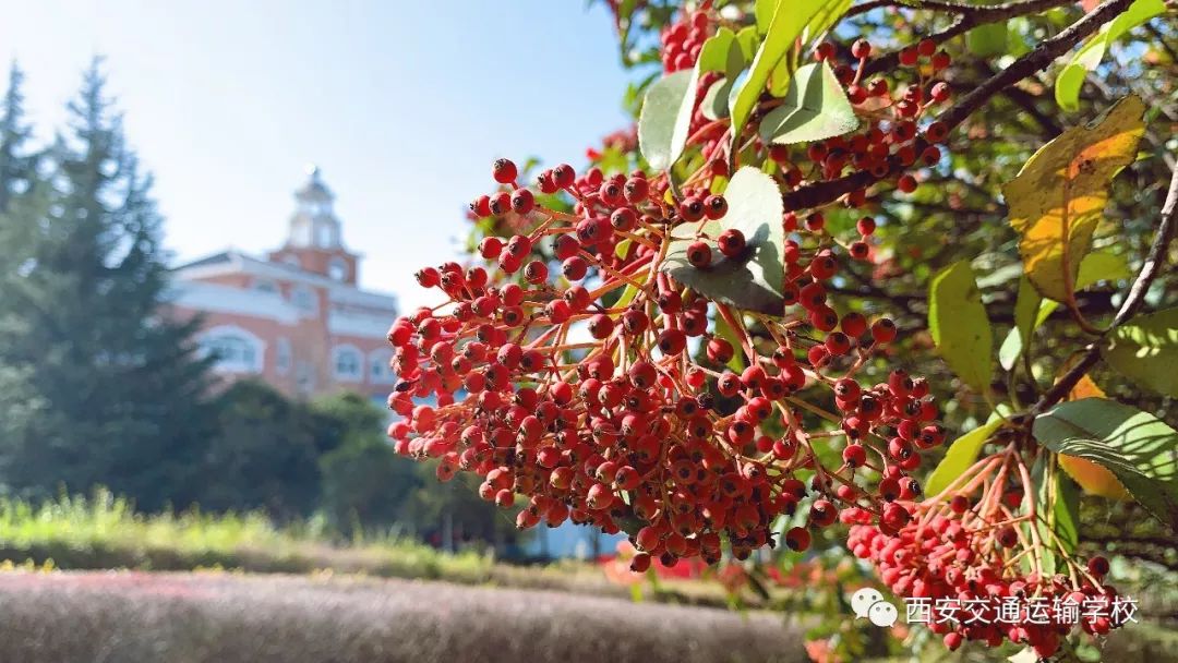 青海初高中学生注意了!这宜宾卫生学校所学校铁路直招,定岗定向委培!