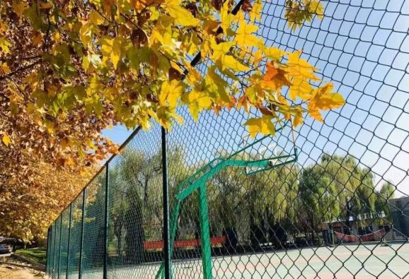 青海初高中学生注意了!这宜宾卫生学校所学校铁路直招,定岗定向委培!