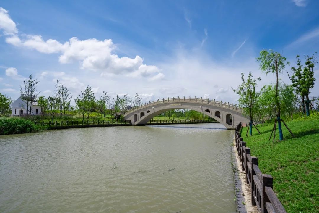 奉贤这5个街镇被授予首批上海市河长制标准化街镇称号