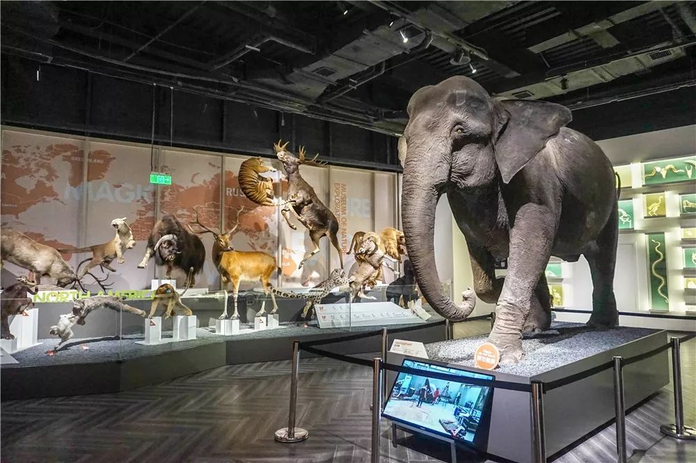 成都市中心1秒穿越亚马逊