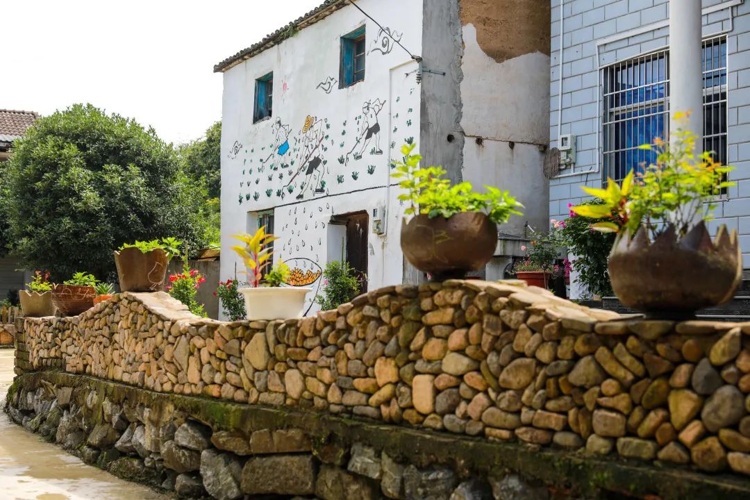 我区首批美丽庭院示范村接受验收大量美图抢先看