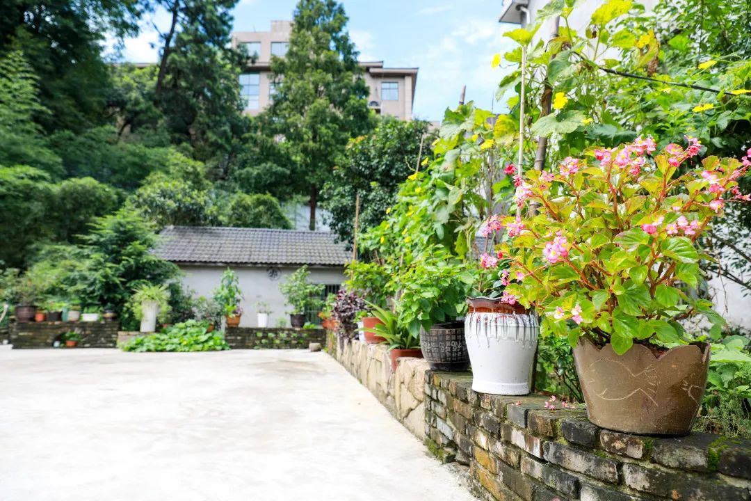 我区首批美丽庭院示范村接受验收大量美图抢先看