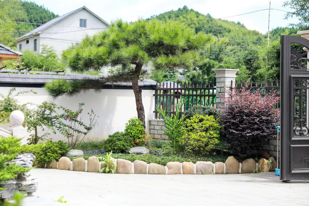 我区首批美丽庭院示范村接受验收大量美图抢先看