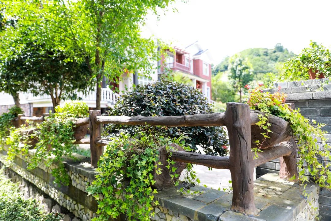 我区首批美丽庭院示范村接受验收大量美图抢先看