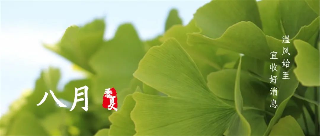 咸寧市中考分數查詢_咸寧市2020年高中階段學校招生志愿填報資格線_鄂南高中志愿填報資格線