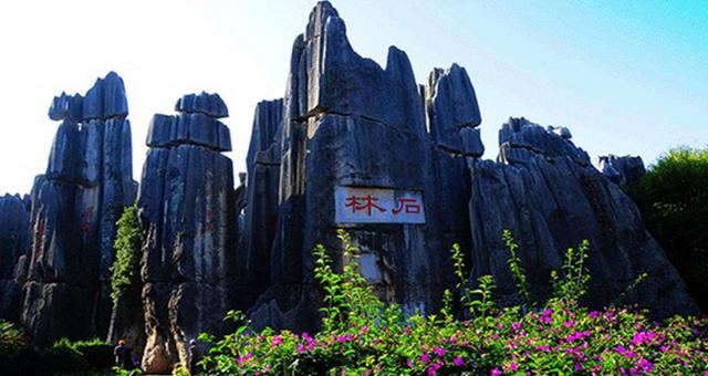 西南林业大学2020年_《招74人》西南林业大学2020年第三批公开招聘公告(2)