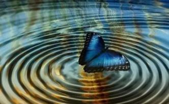 量子的世界，不允许“蝴蝶效应”丨时间旅行