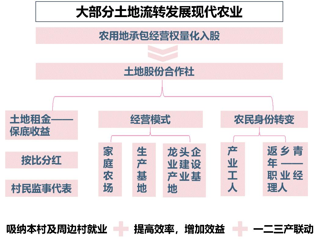 村庄规划经验总结_借鉴优质村庄规划经验材料_村庄规划经验做法