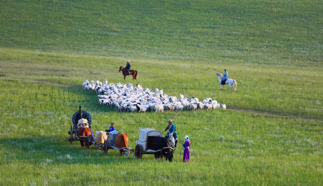 给远方的客人们展现了乌珠穆沁游牧传