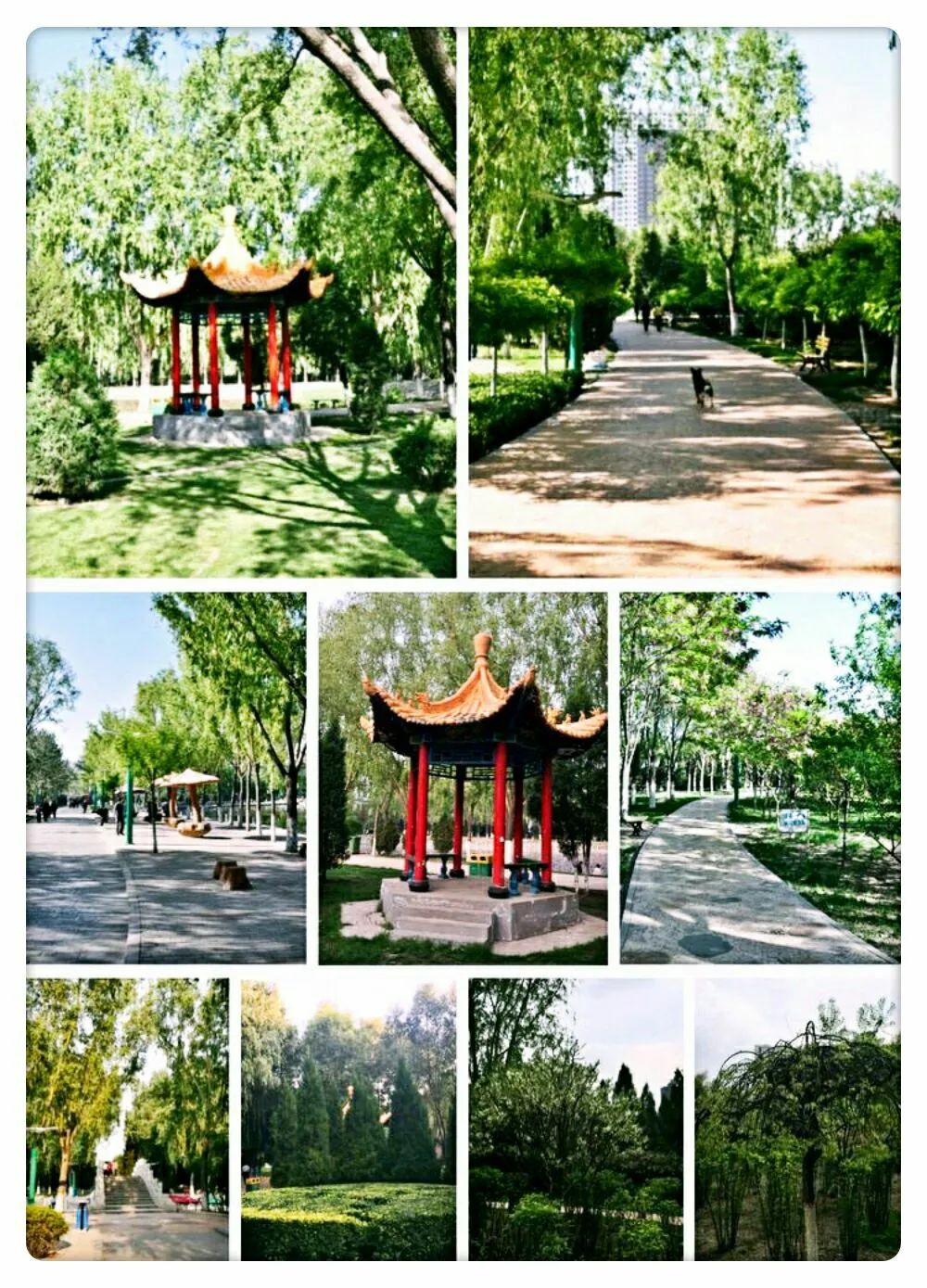 离石莲花池公园介绍图片