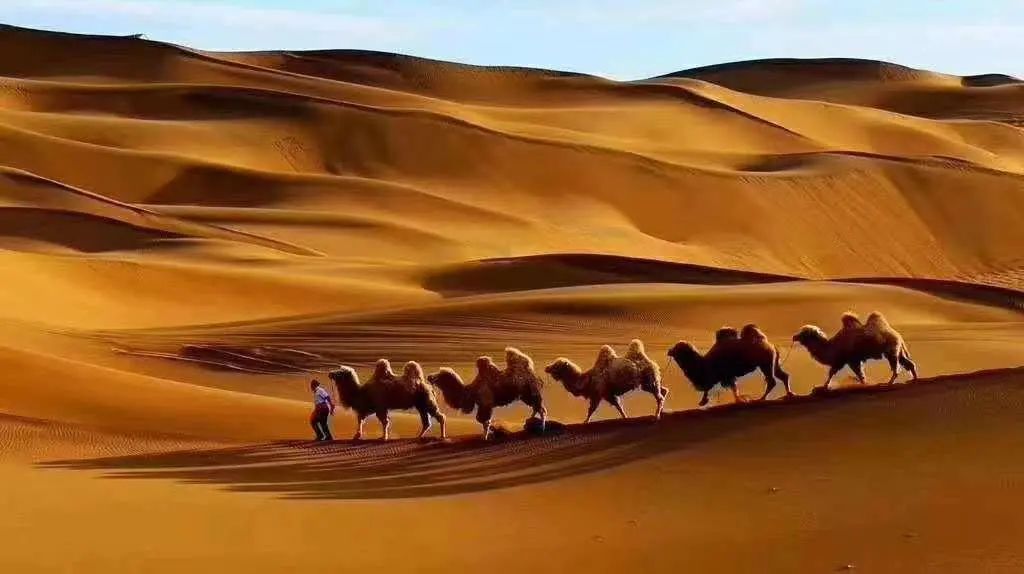 喀尔苏沙漠图片