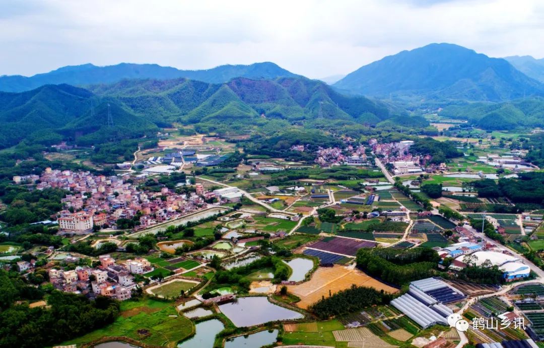 人文鹤山在龙口镇有一户四代茶叶世家