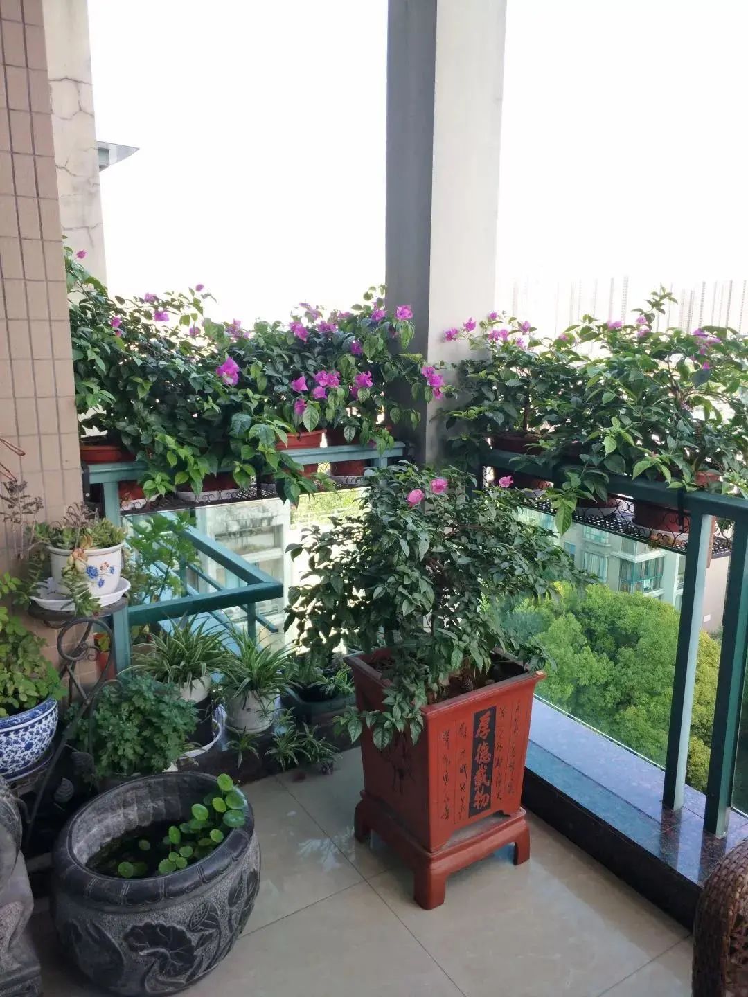 火速报名2020年度萧山区美丽阳台征集活动开始啦