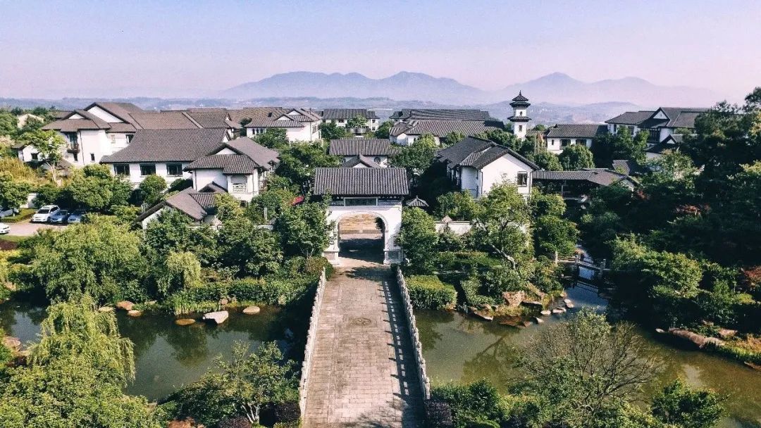 新乡贤工作进行时绍兴嵊州抓特色促亮点携手乡贤强发展