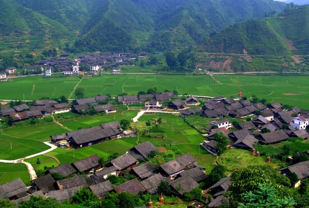 世界原始稻作文化的"活化石":湖南新晃侗藏红米种植系统_眼光_澎湃