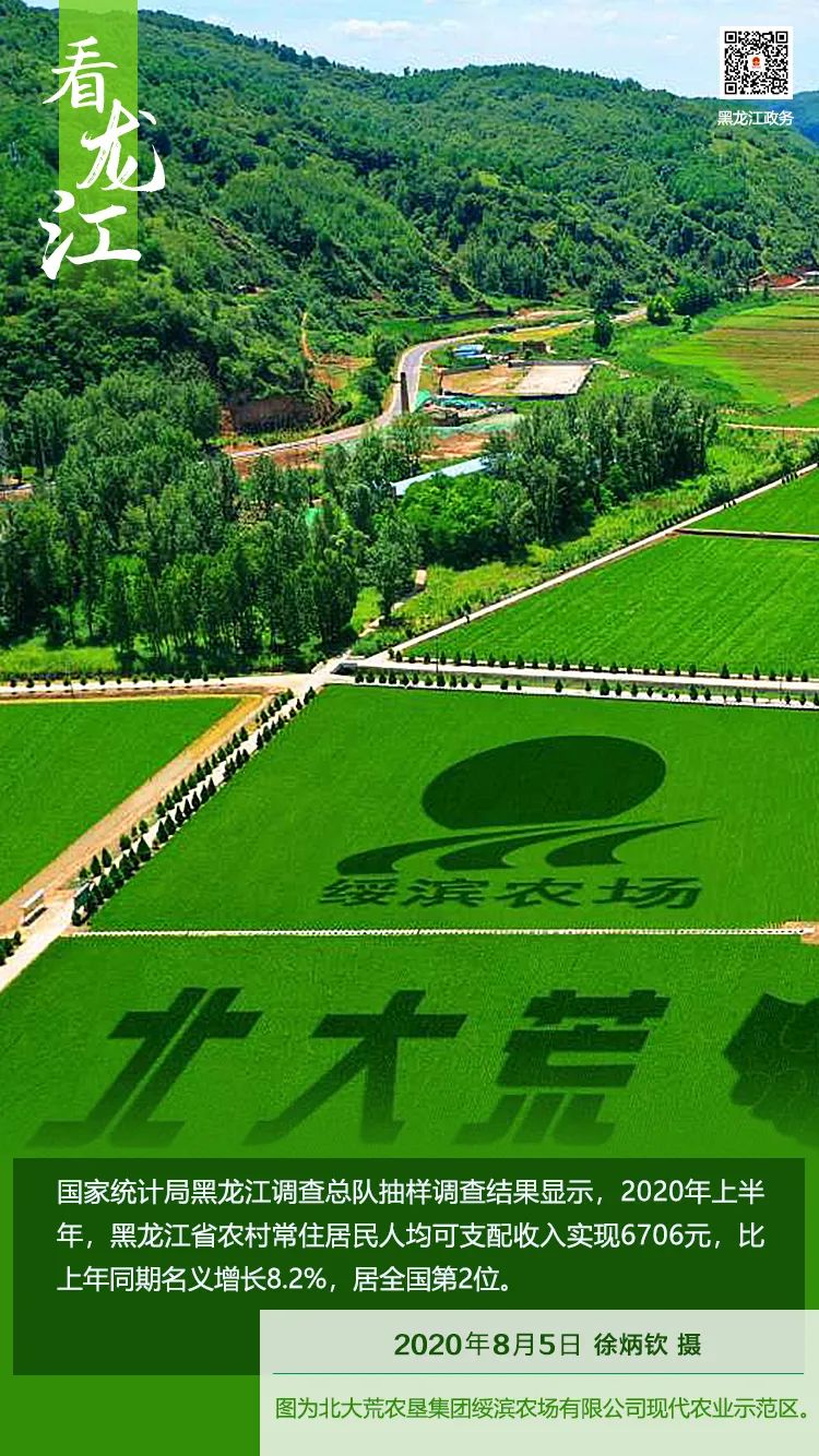 2020各省上半年人均g_各省人均寿命