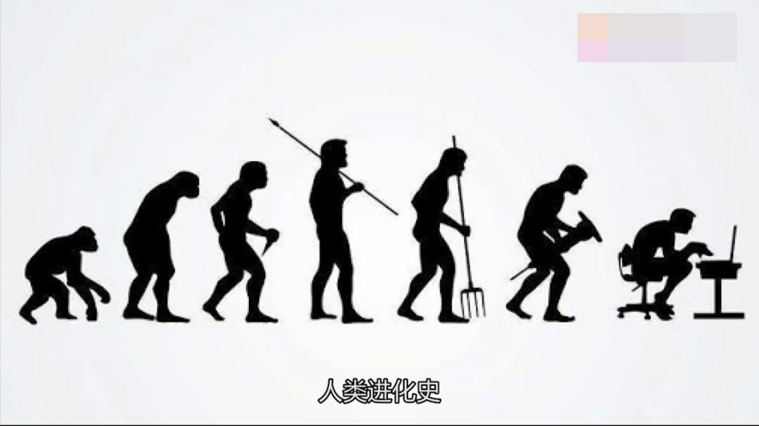 人类进化史图片及说明图片