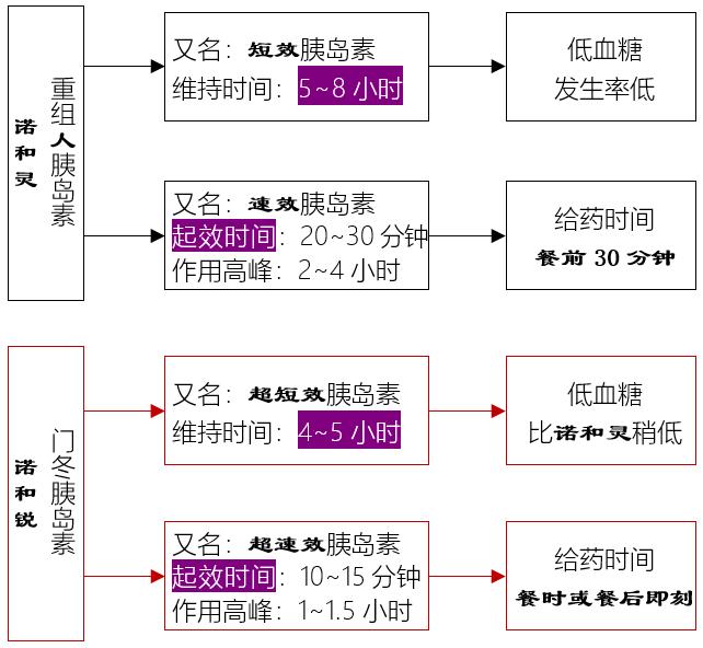 谷賴胰島素;長效胰島素類似物:甘精胰島素(來得時),地特胰島素(諾和平