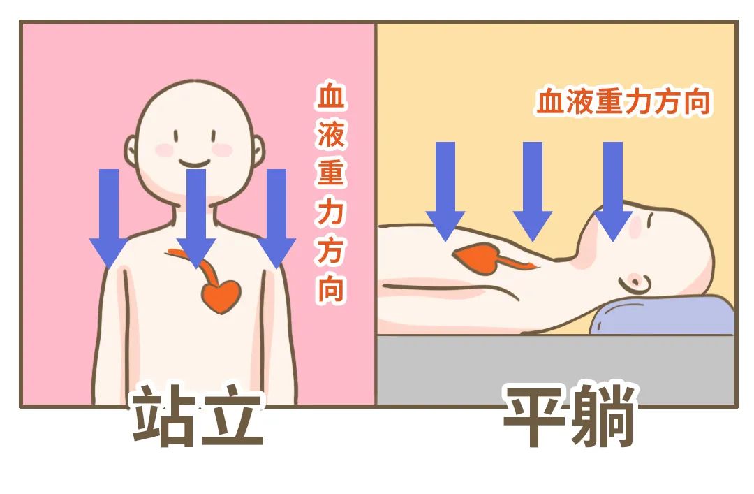 为什么要早上验光,为什么要早上验光呢
