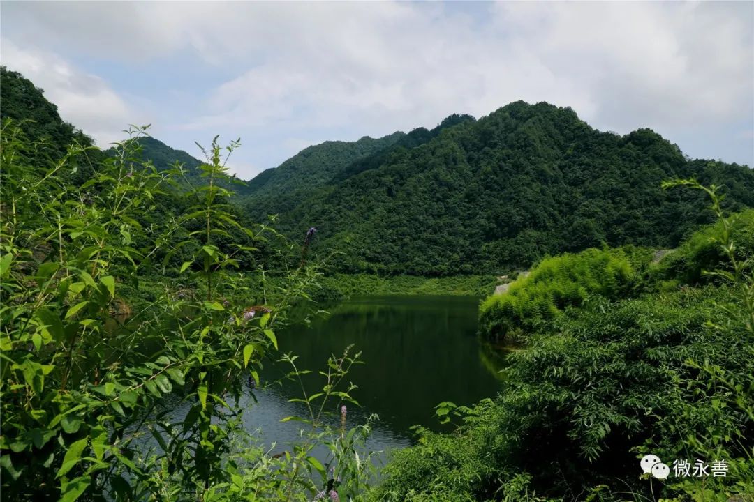 永善檜溪這裡太美顏值爆表