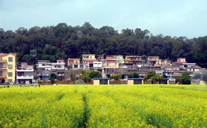 南昌棠溪北雄村多少人口_南昌莲塘蛟溪村(3)