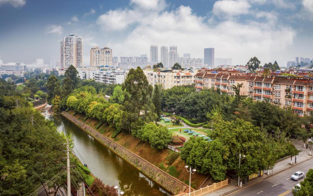 成都最美街道出炉龙泉驿她最美