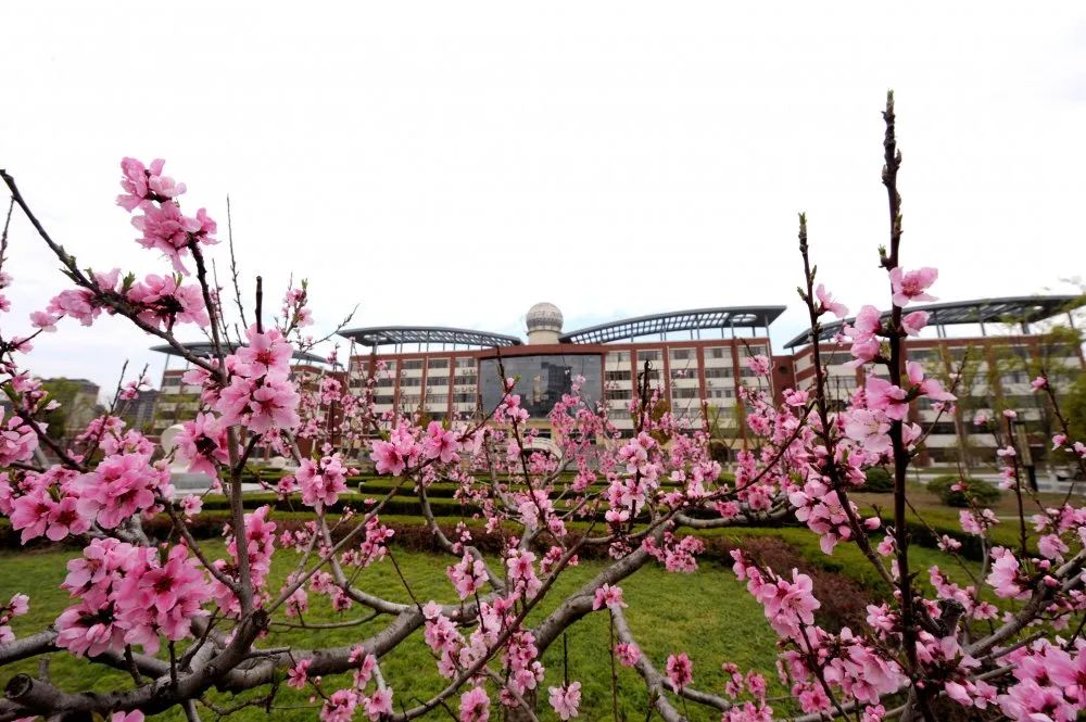 宿迁中学示范校_江苏省宿迁中学教育集团_江苏省普通高中示范校名单