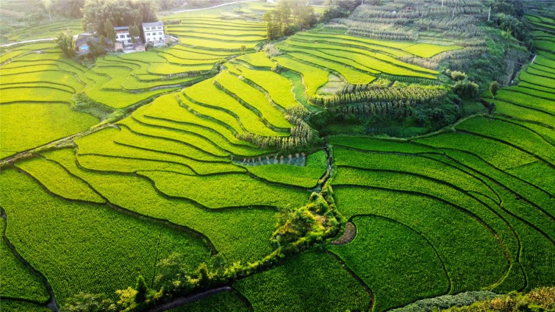高清视频多图呈上秋色撩人这么美的梁平你确定不来看看