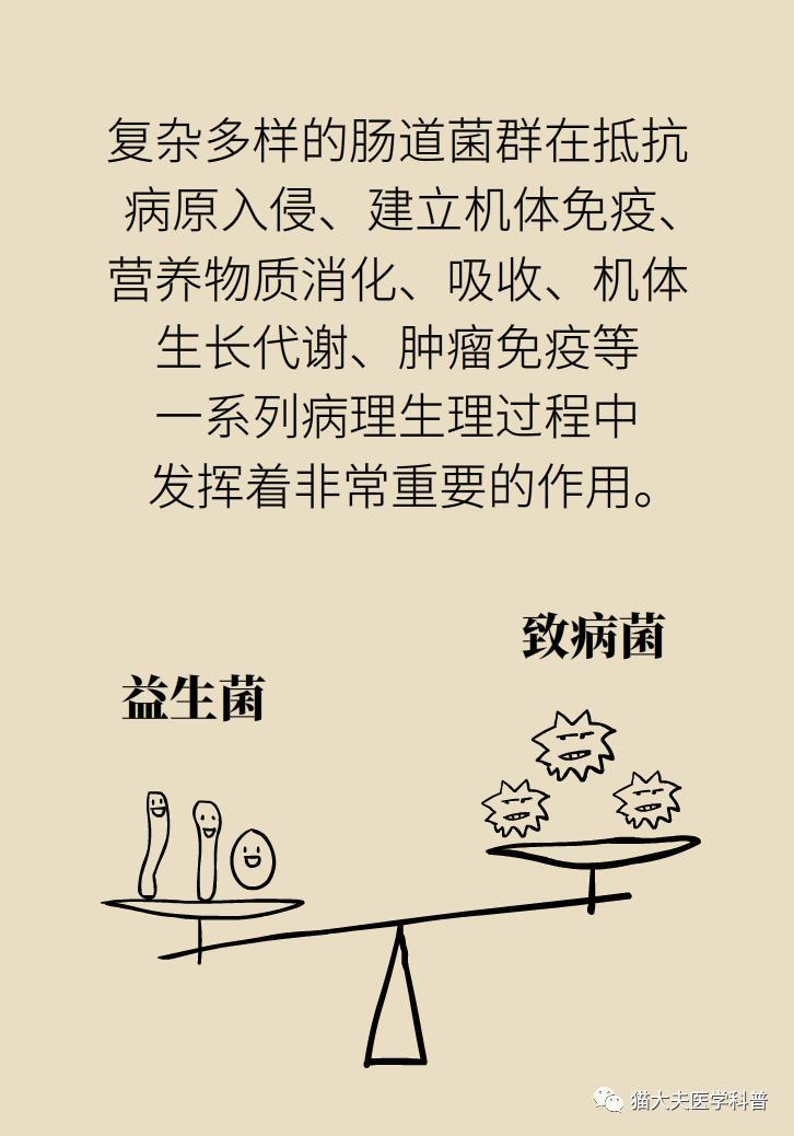 曲谱中调的功效与作用_马齿苋图片功效与作用(3)
