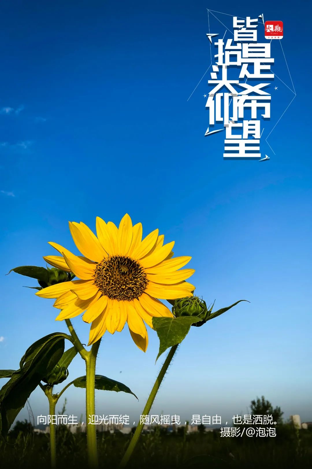 此刻抬头仰望大连皆是希望