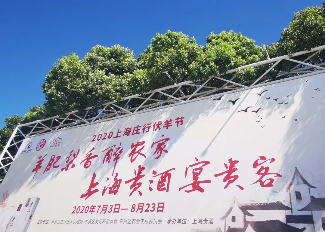 庄行伏羊节持续进行中烂糊羊肉配美酒真香