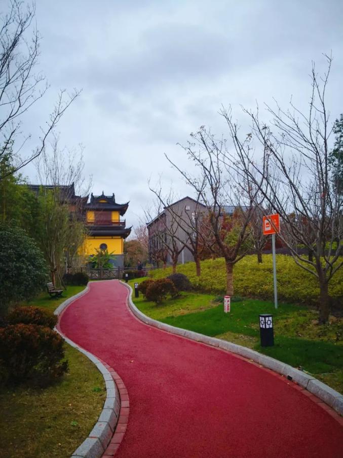 福缘禅寺恢复对外开放入寺须提前预约