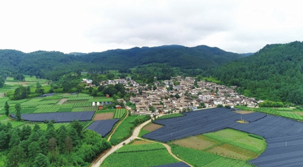 邂逅彝乡幸福绵长玉溪市江川区安化彝族乡示范创建侧记